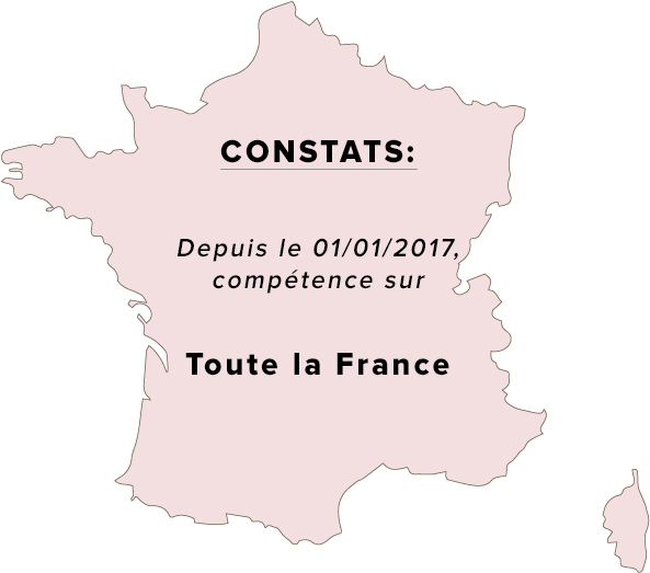 competence constat france